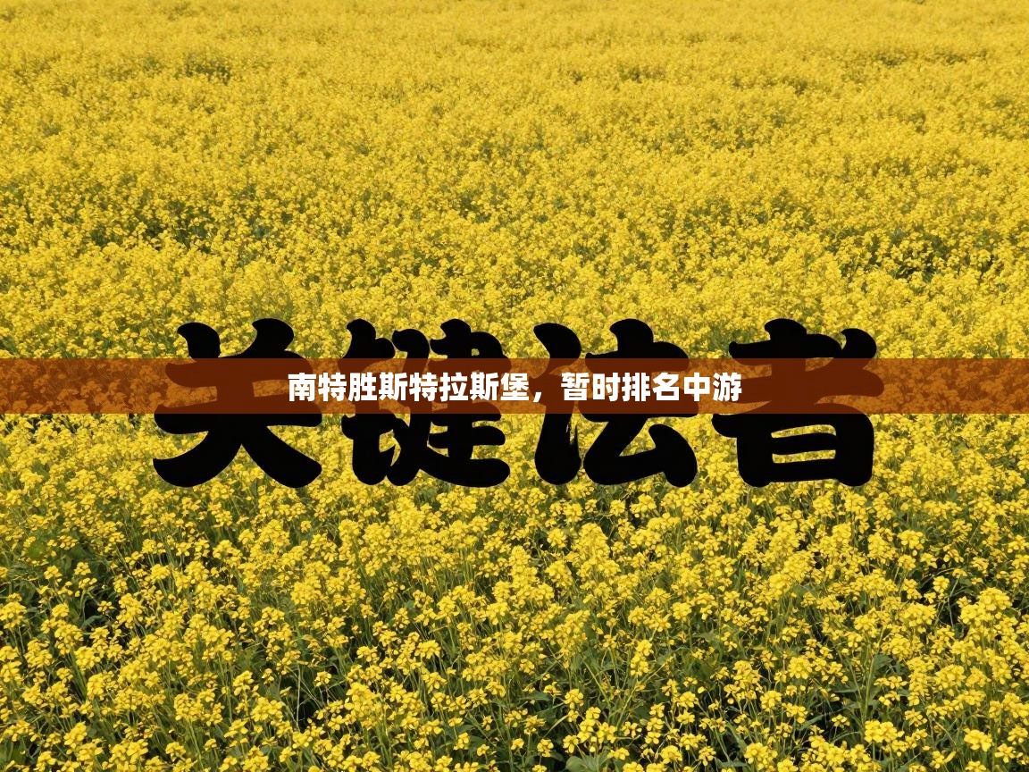 南特胜斯特拉斯堡，暂时排名中游