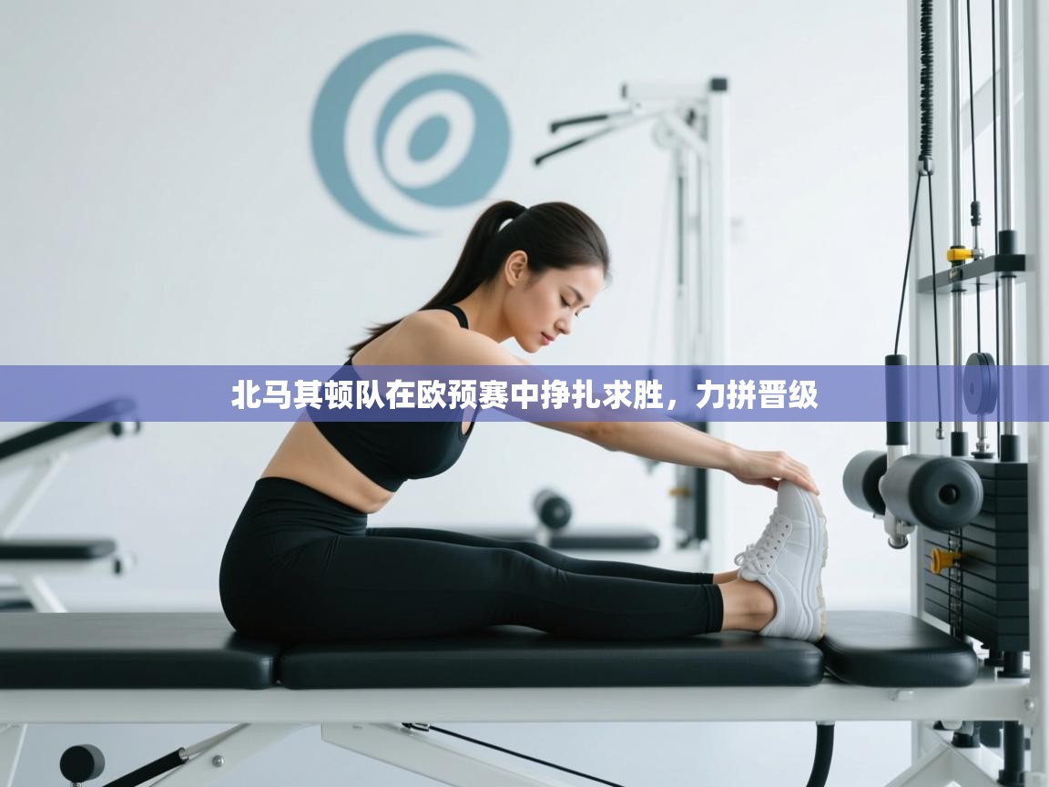 北马其顿队在欧预赛中挣扎求胜，力拼晋级  第1张